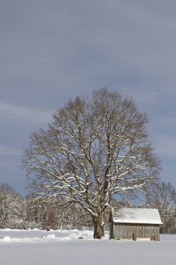 Gaissach kış - Alps kötü Toelz yakın eteklerinde bir pastoral moorland felts
