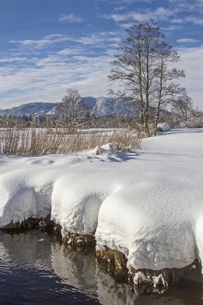 Gaissach Sente Inverno Uma Charneca Idílica Sopé Dos Alpes Perto — Fotografia de Stock