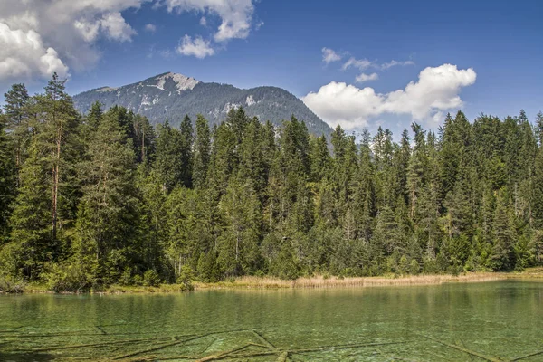 Riedener Idylliska Små Bog Sjö Nära Rieden Lech Dalen — Stockfoto