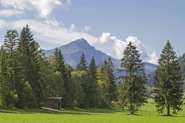 Oostelijk Uitzicht Kitzbuehl Horn Huisberg Kitzbuehel Gezien Vanaf Het Fieberbrunner — Stockfoto