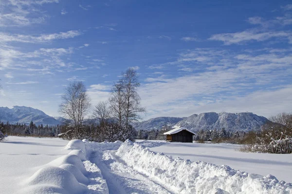 Gaissach Sente Inverno Uma Charneca Idílica Sopé Dos Alpes Perto — Fotografia de Stock