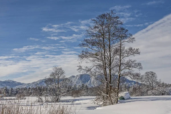 Gaissach Sente Inverno Uma Charneca Idílica Sopé Dos Alpes Perto — Fotografia de Stock