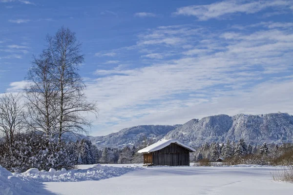 Gaissach Vilt Winter Een Idyllische Heidegebied Uitlopers Van Alpen Buurt — Stockfoto