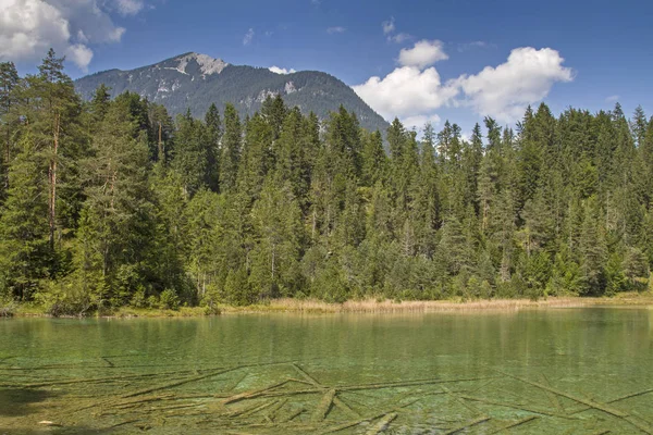 Riedener Idylliska Små Bog Sjö Nära Rieden Lech Dalen — Stockfoto