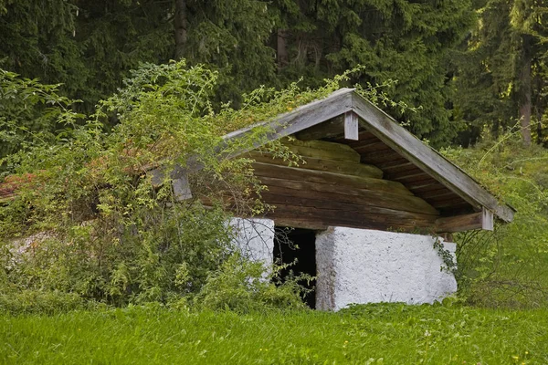 Shelter hut for cows — Stock Photo, Image