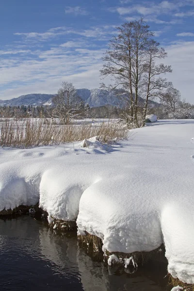 Isarwinkel kötü Toelz yakınındaki kışın