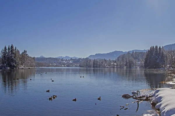 Isar reservoir near Bad Toelz in winter — Stockfoto