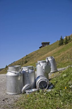 Alpine mera üzerinde tarım süt