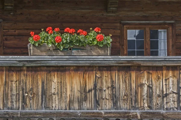 Balcony geraniums — Stock Photo, Image