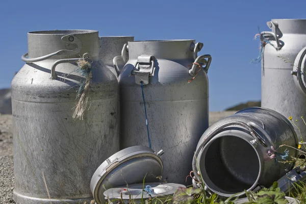 Dairy farming na pastwisku alpejskim — Zdjęcie stockowe