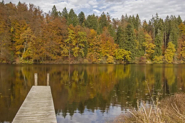 Autunno all'Hackensee — Foto Stock