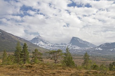highmoor Vaksvikfjellet