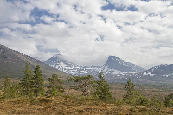 Highmoor Vaksvikfjellet — Stockfoto