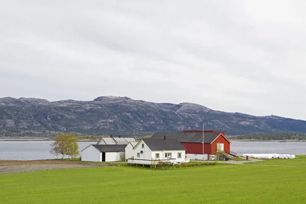 Granja cerca de Skrafjorden — Foto de Stock