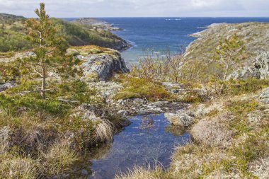 Yarımadanın Otteroya üzerinde
