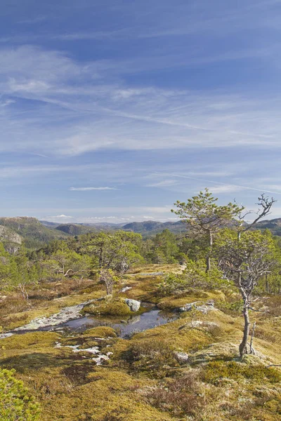 Mys fjelll v Trondelag — Stock fotografie