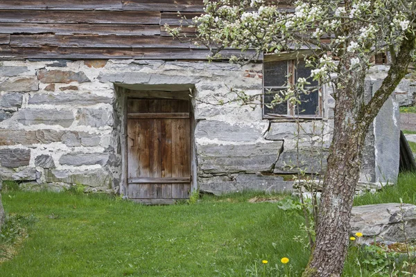 Spring impressions in Norway — Stock Photo, Image