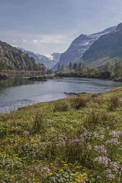 Lovatnet con Jostedalsbreen — Foto de Stock