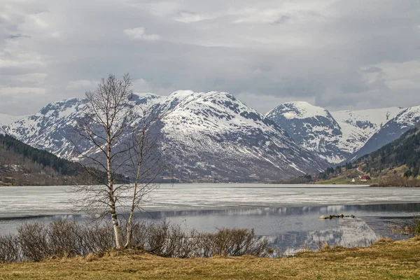 Frühling am dalavatnet — Stockfoto