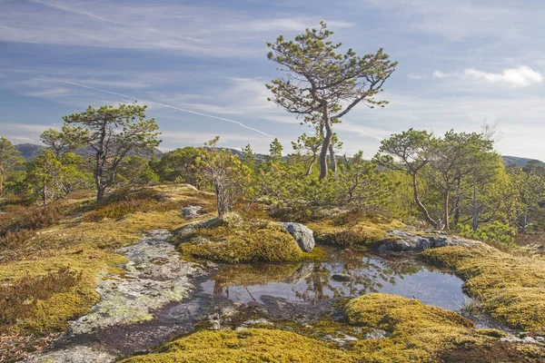 Fjelll land Cape in Trøndelag — Stockfoto