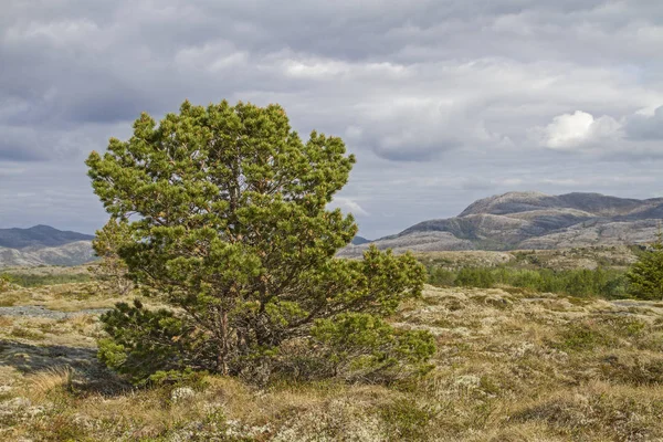 Fjell landschap op Indre-Vikna — Stockfoto