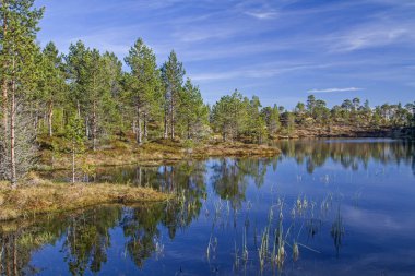  Trondelag bataklık gölü