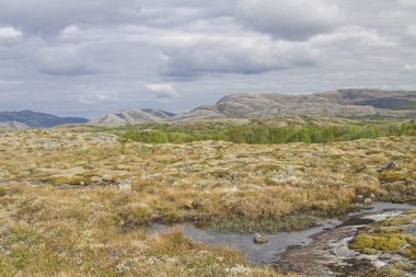 Fjell landscape on Indre-Vikna