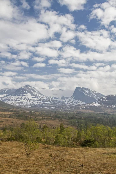 高沼地Vaksvikfjellet — 图库照片