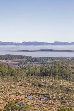 Trondelag Fjell manzara