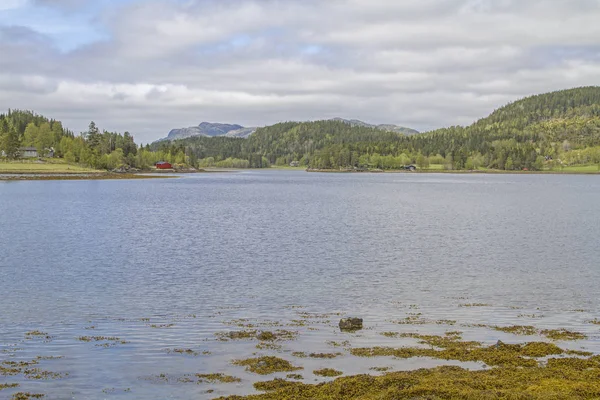 Trondelag içinde Blikkengfjorden