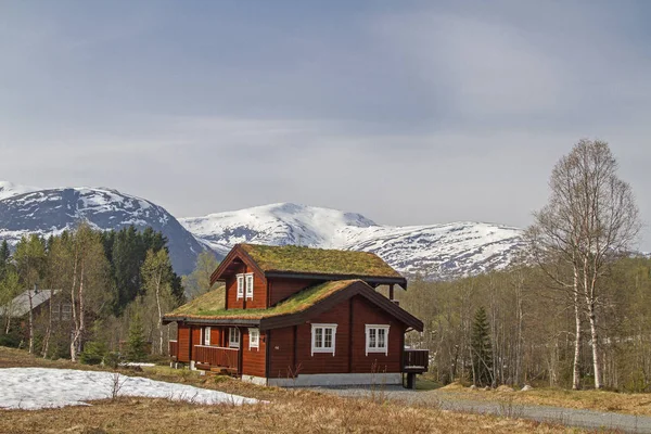 In Hornindalen — Stock Photo, Image