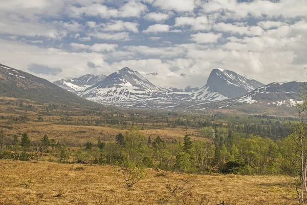 Highmoor Vaksvikfjellet — Stockfoto