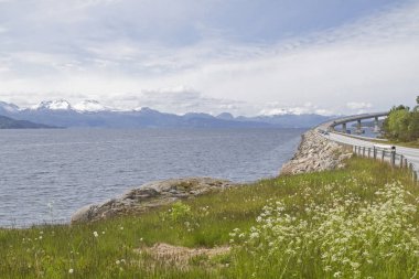 Norveç'te köprü inşaat sanatı