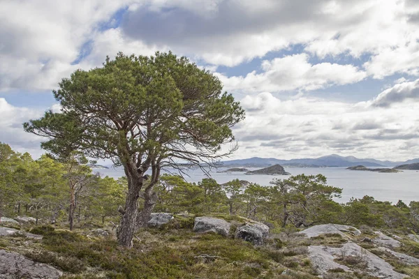 Fjell paisaje en la isla Ertvagoy — Foto de Stock