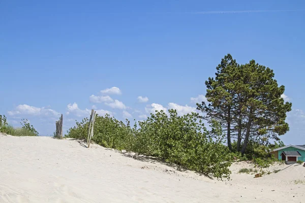 Impressões da praia de areia em Bastad — Fotografia de Stock