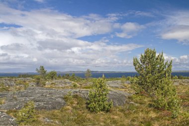 Atlantik adası Tustna üzerinde Moorland