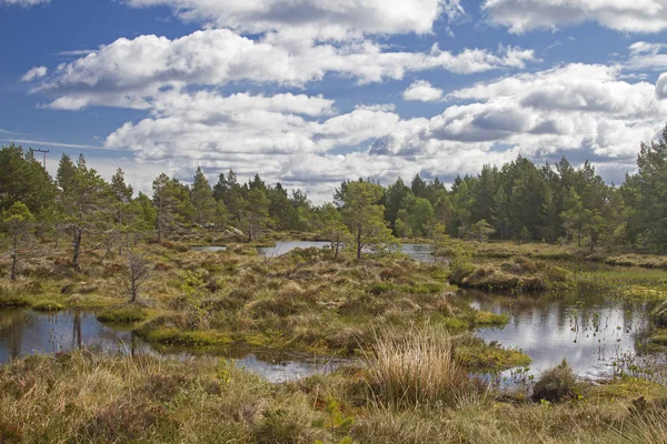 Moorland sull'isola atlantica Tustna — Foto Stock