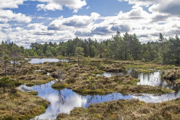 Moorland sull'isola atlantica Tustna — Foto Stock