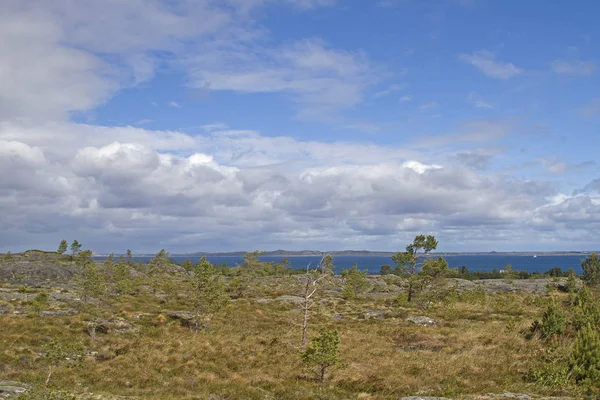大西洋の島タストナのムーアランド — ストック写真