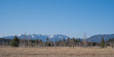 Bad Toelz yakınlarındaki cennet gibi Ellbacher Mağribi, Benediktenwand ve Brauneck 'in arka planına karşı.