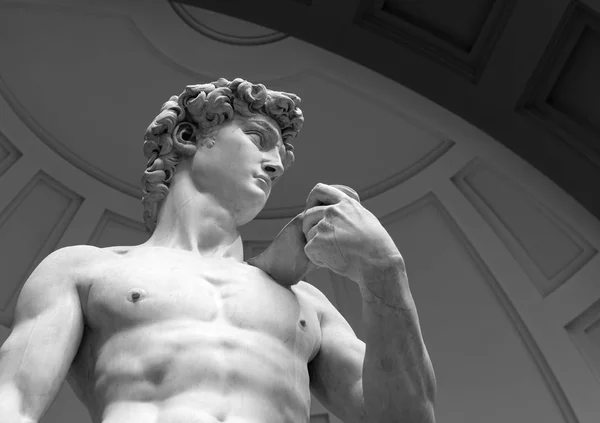statue of David of the sculptor Miguel Angel located in the academy, black and white photography with a perspective from below