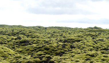 Eski nehir solified lav bir tabaka ile İzlanda'yeşil yosun kaplı