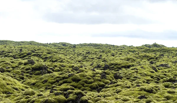 Eski nehir solified lav bir tabaka ile İzlanda'yeşil yosun kaplı