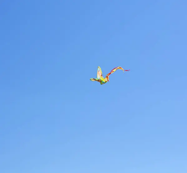 Barevný drak létání — Stock fotografie