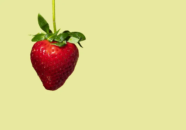 Strawberry on yellow background — Stock Photo, Image