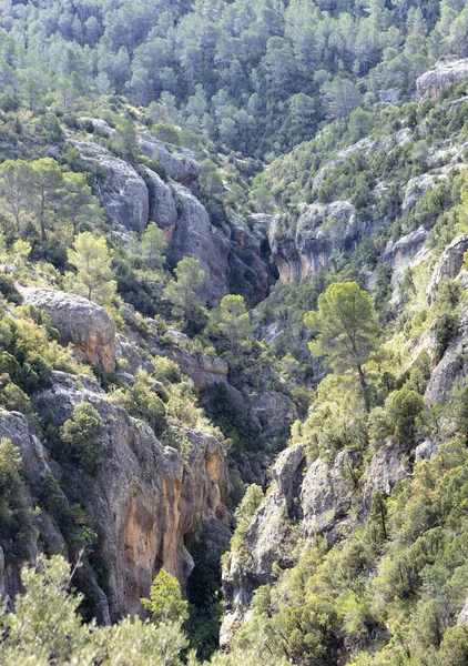 view of the ravine