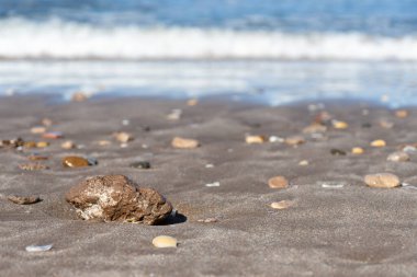 Deniz kıyısındaki kumdaki bir taşa odaklan..