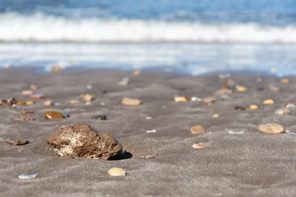 Deniz kıyısındaki kumdaki bir taşa odaklan..