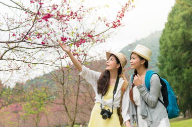 Asyalı kadın altında kiraz ağacı ve bununla bir selfie almak için ellerini yukarı kaldır. Onlar karşılıklı onların bellek kaydı.
