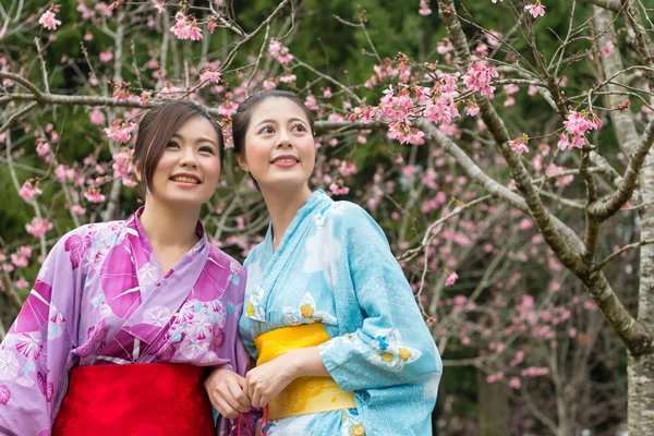 Happy Twee Aziatische Jonge Vrienden Permanent Naast Kersenboom Het Zien — Stockfoto